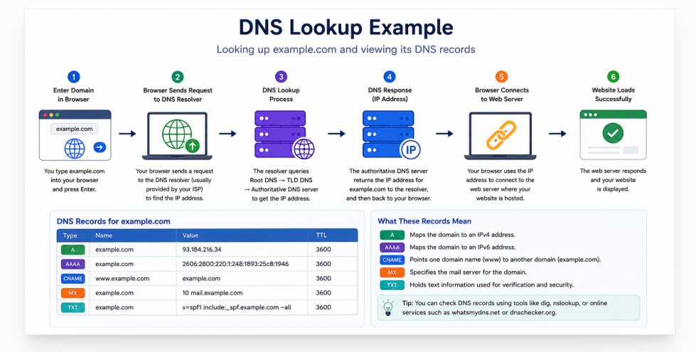 DNS lookup showing domain DNS records